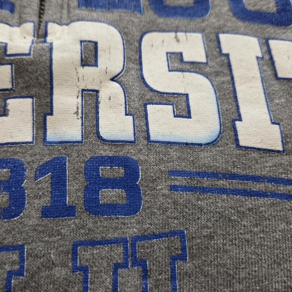 Jansport | Saint Louis University Quarter Zip Graphic Gray Sweatshirt Size Small - Picture 5 of 6